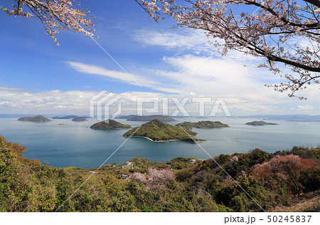 桜満開の紫雲出山から塩飽諸島の粟島、高見島などを見る 50245837