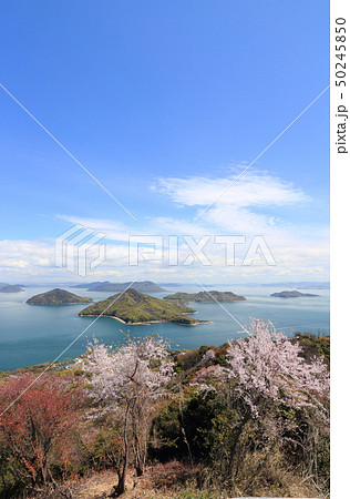 桜満開の紫雲出山から塩飽諸島の粟島、高見島などを見る 50245850