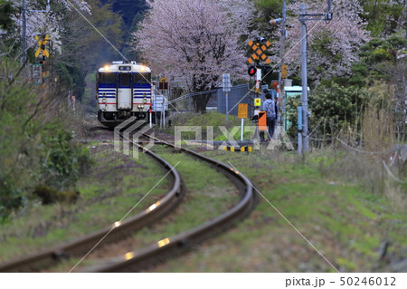 春の咲花駅(磐越西線) 春の咲花駅(磐越西線) 50246012
