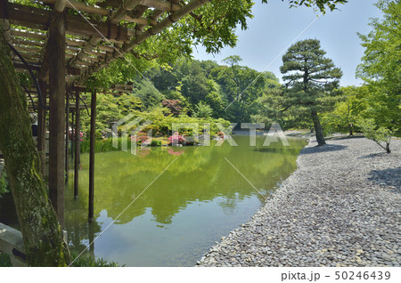 仙洞御所庭園　八ッ橋　州浜 50246439