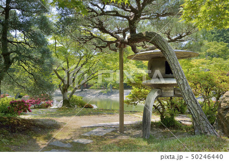 寒水石灯籠　仙洞御所庭園 50246440