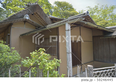 仙洞御所庭園　又新亭 50246445