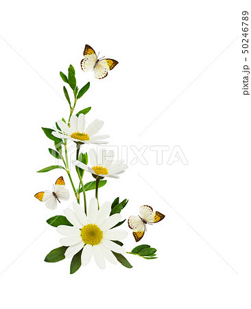 ❁ Daisy ❁ページ Daisy SVG - Flower SVG - Spring SVG - Digital Download
