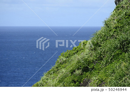 御神岬　石垣島 50246944