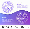 Birds concept in circle with thin line icons 50246996