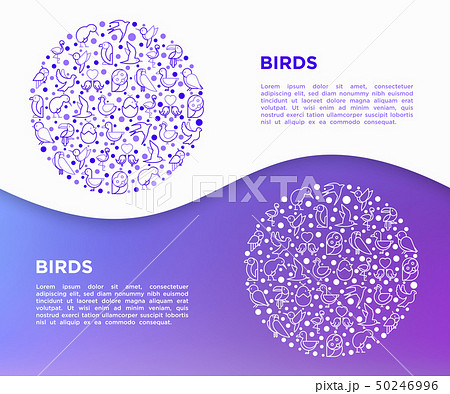 Birds concept in circle with thin line icons Birds concept in circle with thin line icons 50246996