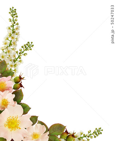 Wild rose flowers corner arrangement 50247033