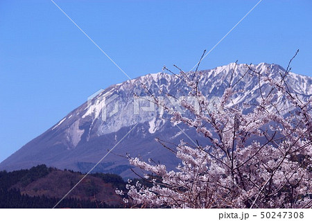 山と桜 山と桜 50247308