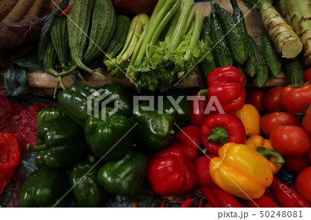 広東省の公共市場 50248081