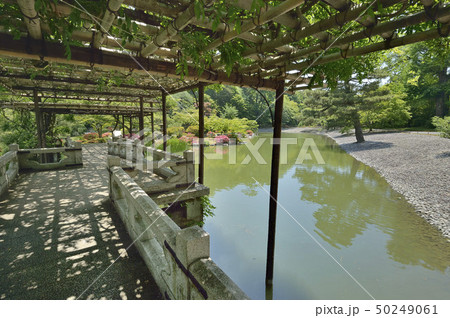 仙洞御所庭園　八ッ橋 50249061