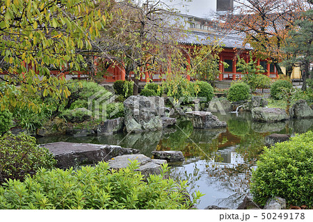 三十三間堂　池泉 50249178