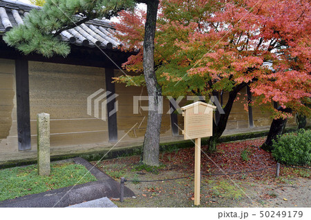 太閤塀 蓮華王院 三十三間堂 太閤塀 蓮華王院 三十三間堂 50249179