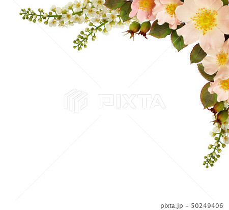 Wild rose flowers corner arrangement 50249406
