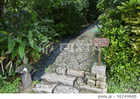 御門口 世界遺産 斎場御嶽 御門口 世界遺産 斎場御嶽 50249680