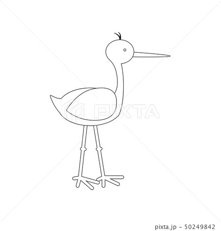 Stork illustration outline Stork illustration outline 50249842