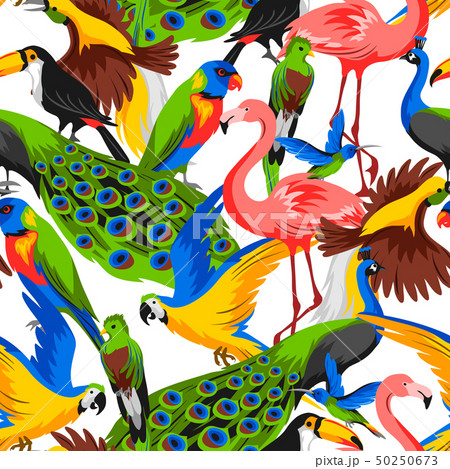 Seamless pattern with tropical exotic birds. 50250673