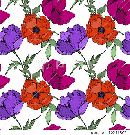 Anemone floral botanical flowers. Black and white engraved ink art. Seamless background pattern. 50251365