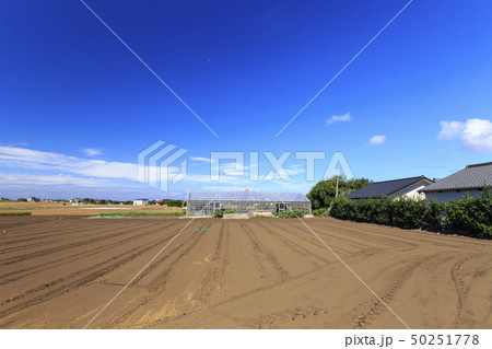 畑(夏・秋) 畑(夏・秋) 50251778