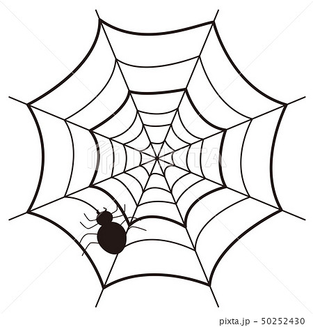 蜘蛛とクモの巣のイラストのイラスト素材