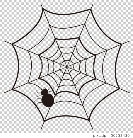 蜘蛛とクモの巣のイラストのイラスト素材