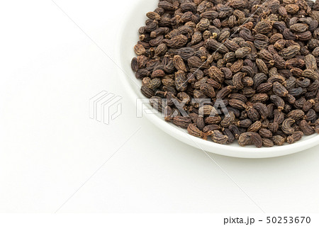 女貞子　トウネズミモチの果実　じょていし　リグストラム　Privet fruit 50253670
