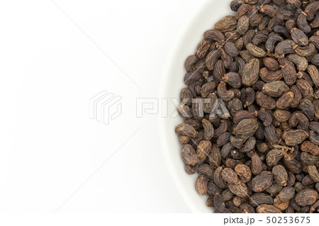 女貞子　トウネズミモチの果実　じょていし　リグストラム　Privet fruit 50253675