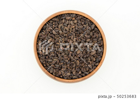 女貞子　トウネズミモチの果実　じょていし　リグストラム　Privet fruit 50253683