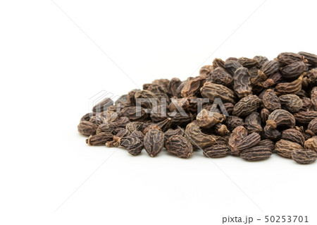 女貞子　トウネズミモチの果実　じょていし　リグストラム　Privet fruit 50253701