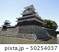 中津城 50254037