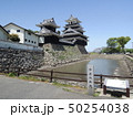 中津城 50254038