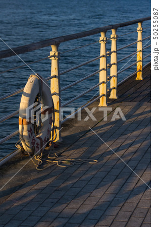 大阪咲洲・シーサイドコスモ 50255087