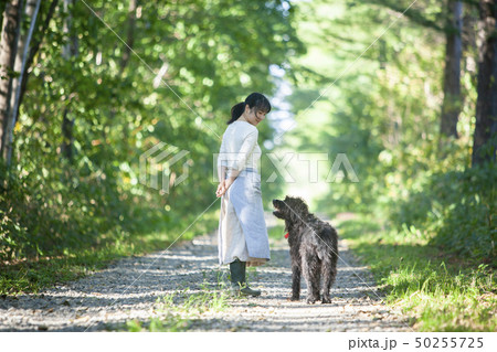 愛犬と散歩 愛犬と散歩 50255725
