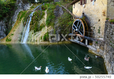 Ancient watermill wheel, Molinetto della Croda 50255740