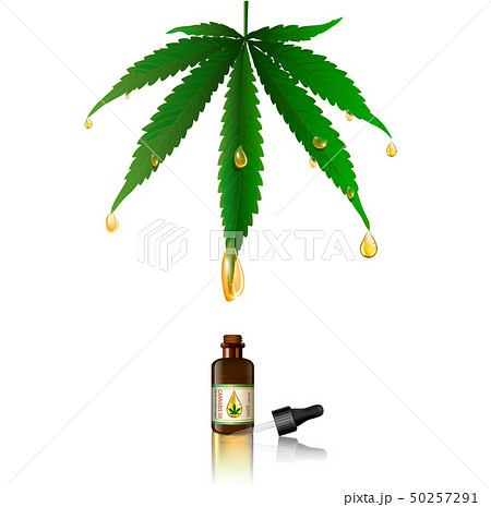 Marijuana plant and cannabis oil bottles vector. 50257291
