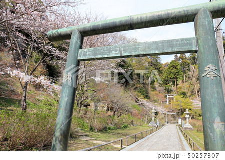 建長寺半僧坊　建長寺境内　鳥居　 50257307