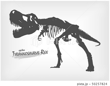 Tyrannosaurus Rex Skeleton Silhouette On Grayのイラスト素材