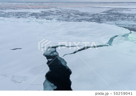 Drift Ice in Abashiri 50259041