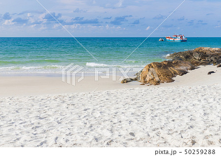 Tranquil beach summer scene. Exotic tropical beach Tranquil beach summer scene. Exotic tropical beach 50259288