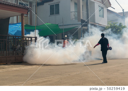 Fogging DDT spray kill mosquito 50259419
