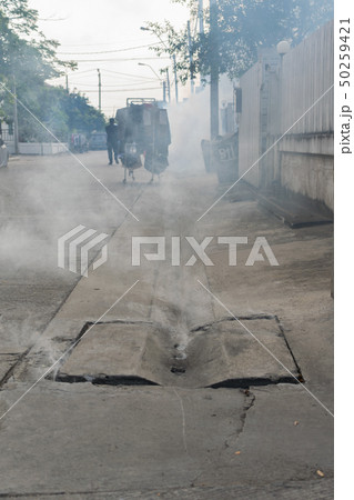 Fogging DDT spray kill mosquito 50259421
