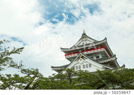 White Samurai castle of Japan in Summer season 50259647