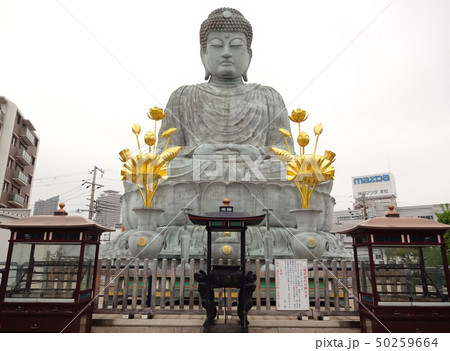 兵庫大仏 50259664