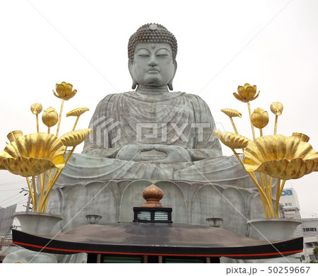 兵庫大仏 50259667