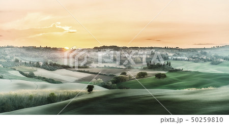 Landscape with fields and hills Landscape with fields and hills 50259810