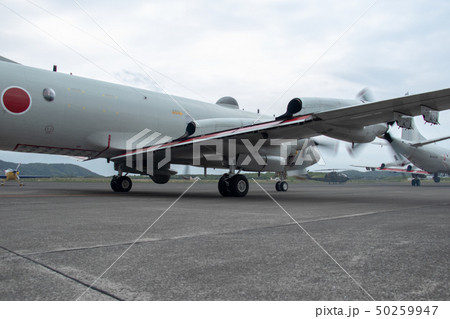 鹿屋航空基地のP-3Cオライオン 鹿屋航空基地のP-3Cオライオン 50259947