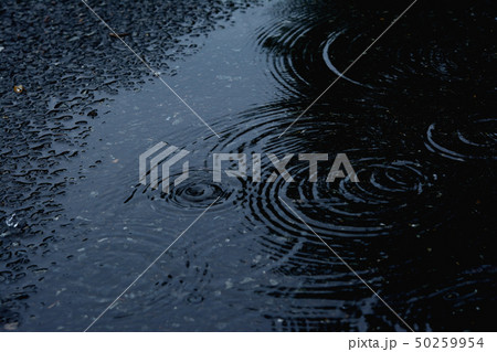 雨の日　水たまり　波紋 50259954