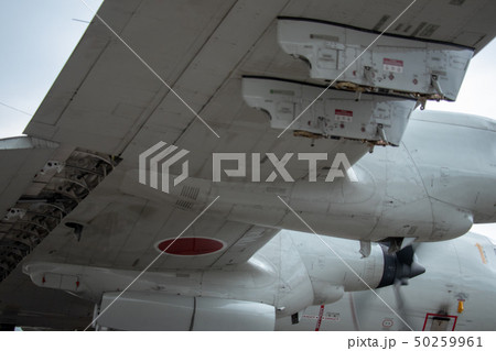 鹿屋航空基地のP-3Cオライオン 鹿屋航空基地のP-3Cオライオン 50259961
