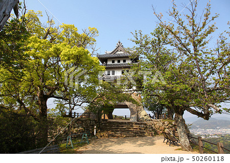 洲本城　天守 50260118