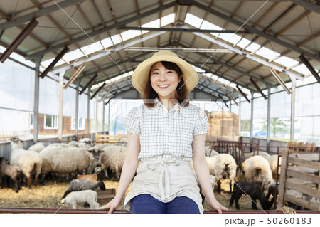 羊農家の女性 羊農家の女性 50260183