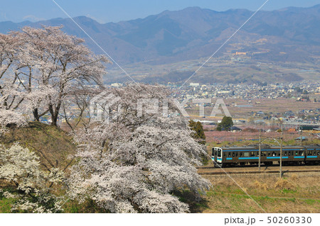 勝沼ぶどう郷　桜　211系 50260330